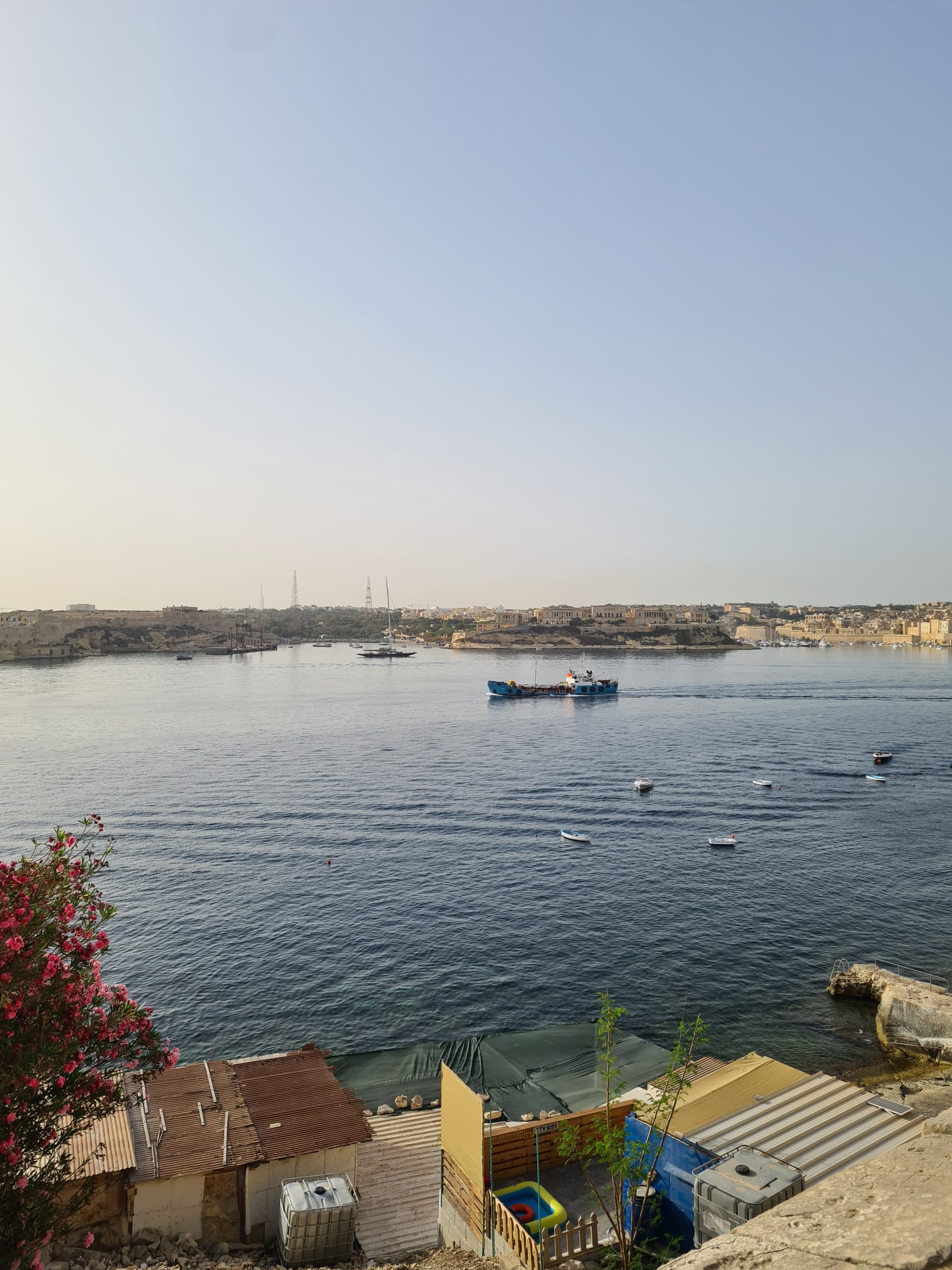 Photo credit: Marcus Zarb